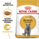 FBN British Shorthair 400g